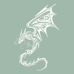 Sweat Homme Terry - Broderie Dragon