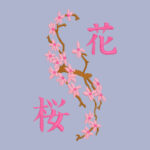 pull broderie fleurs cerisier asie