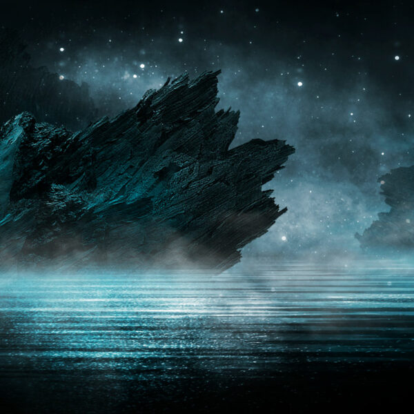 Sweats brodés dark night